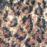Milliken Carpets
Nakura Trellis